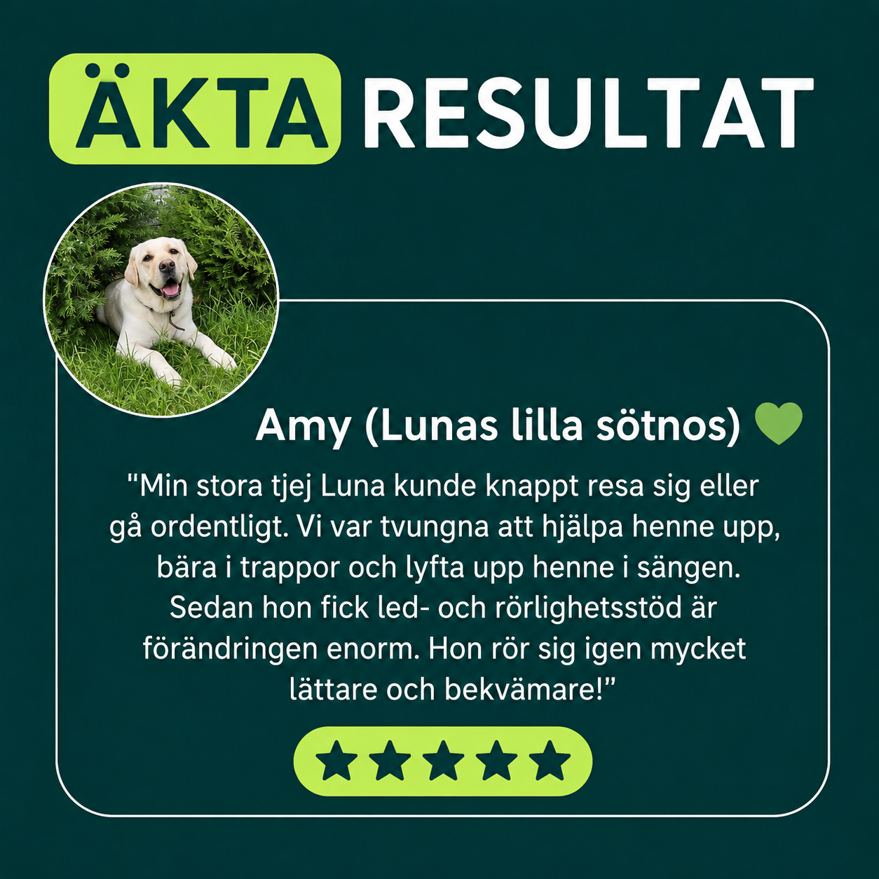 Ledgodis för hundar
