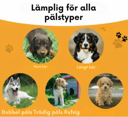Petbrush Pro™ | Skonsam, effektiv och redo på några sekunder.