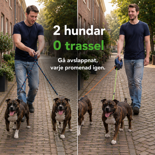 CordControl – Två hundar, inga trassel