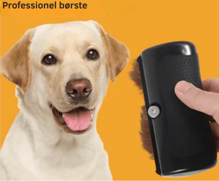 Petbrush Pro™ | Skonsam, effektiv och redo på några sekunder.