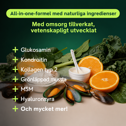 Ledgodis för hundar