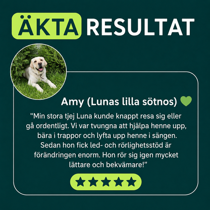 Ledgodis för hundar