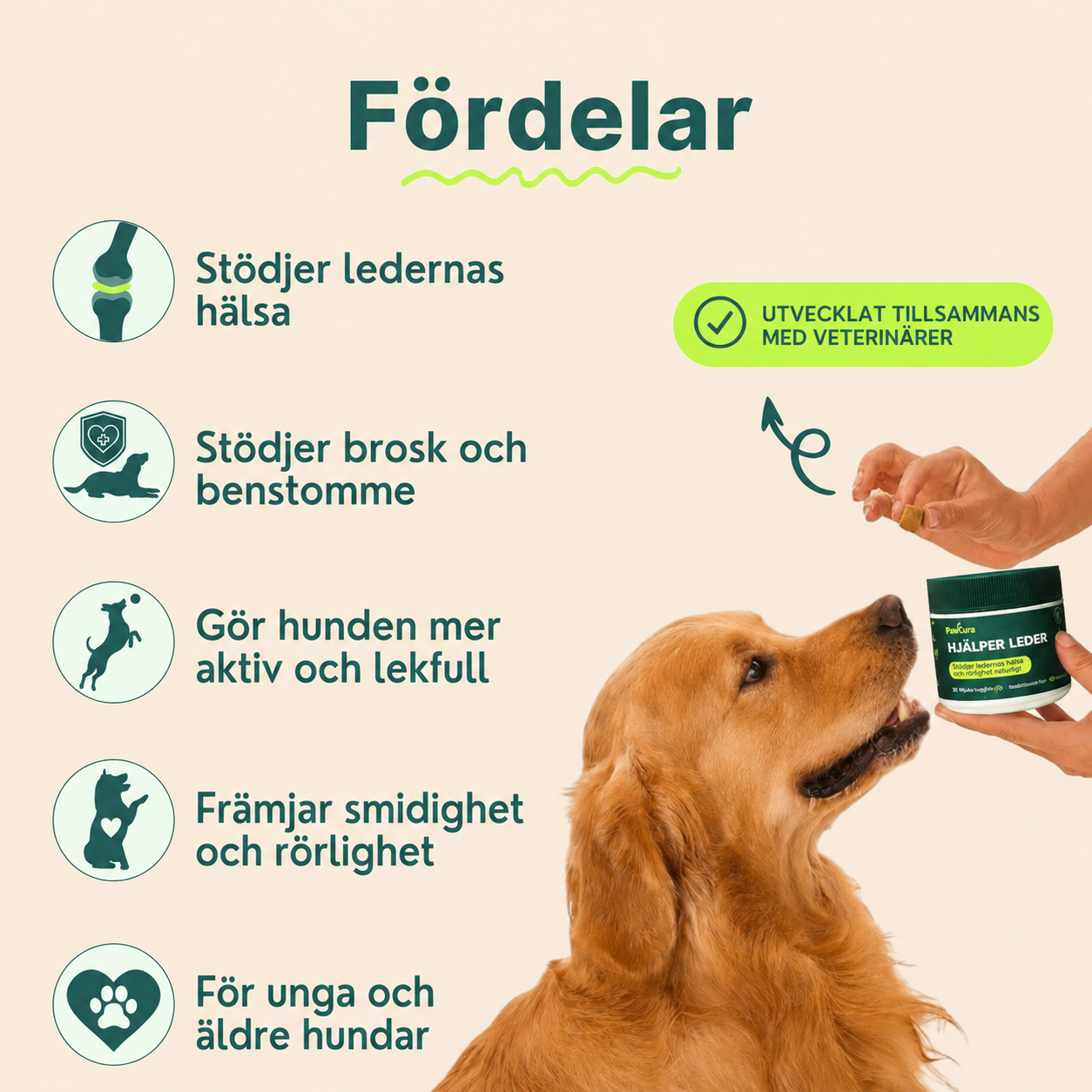 Ledgodis för hundar