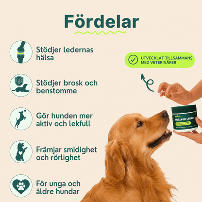 Ledgodis för hundar